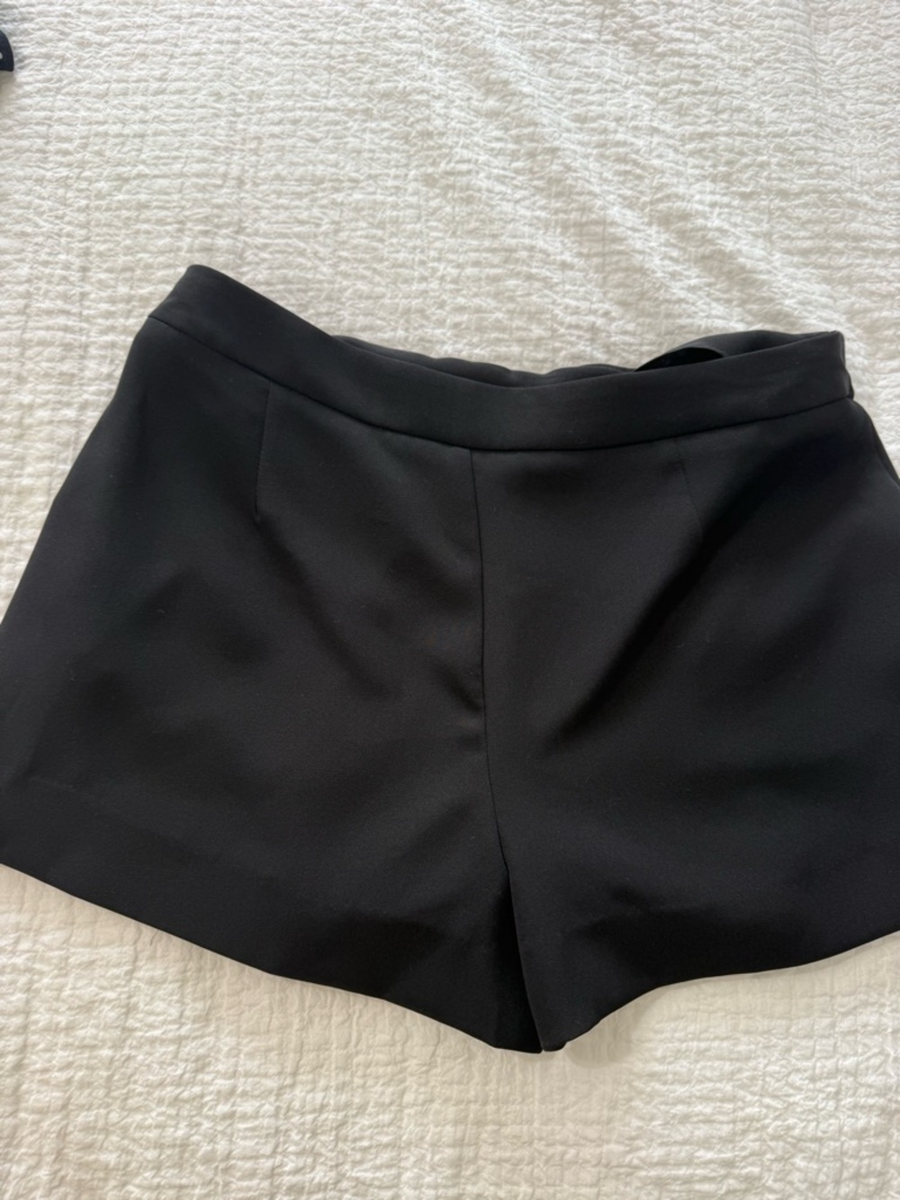 Zara Black A-Line Mini Skirt with Front Pleats - Picture 5 of 5